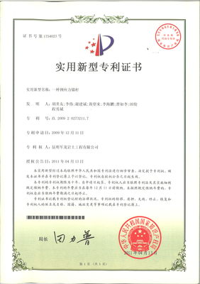 公司自主知識產權與知識產權服務的全面解析